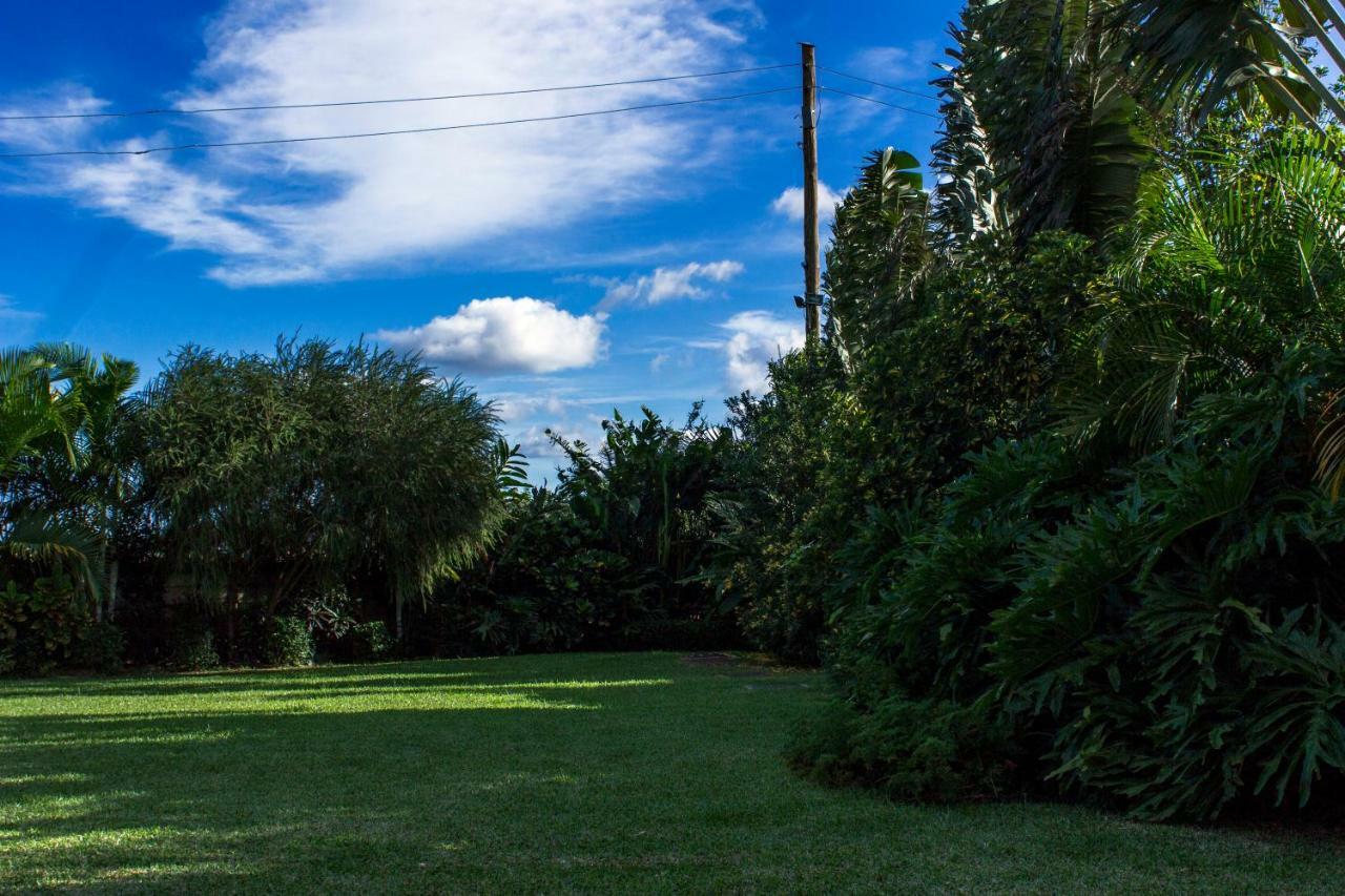 Akasu Bed And Breakfast คัมพาลา ภายนอก รูปภาพ